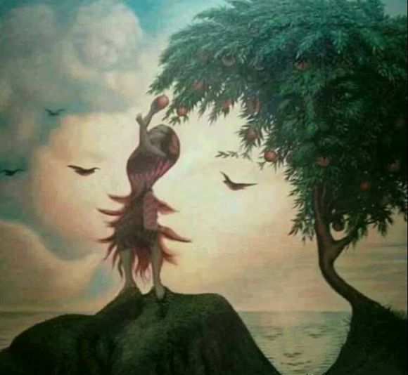 how many faces, count number of faces, faces